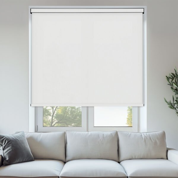 Carnival Blackout Plains Range